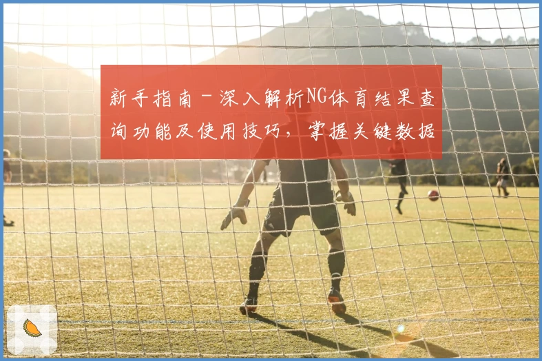 新手指南 - 深入解析NG体育结果查询功能及使用技巧，掌握关键数据轻松上手