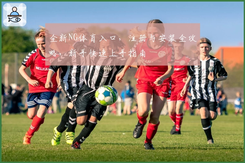 全新NG体育入口，注册与安装全攻略，新手快速上手指南