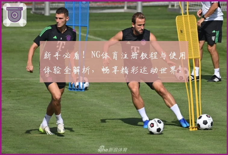 新手必看！NG体育注册教程与使用体验全解析，畅享精彩运动世界！