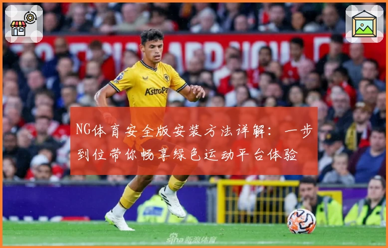 NG体育安全版安装方法详解：一步到位带你畅享绿色运动平台体验