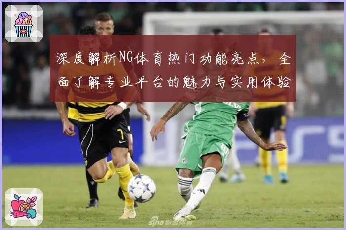 深度解析NG体育热门功能亮点，全面了解专业平台的魅力与实用体验！