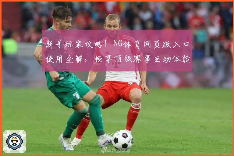 新手玩家攻略！NG体育网页版入口使用全解，畅享顶级赛事互动体验